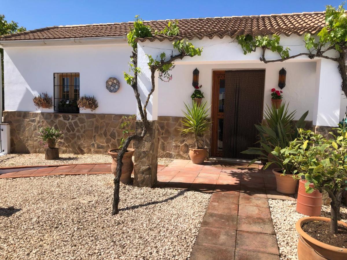 Casa La Alegria 37 Bed & Breakfast Villanueva de Tapia Luaran gambar